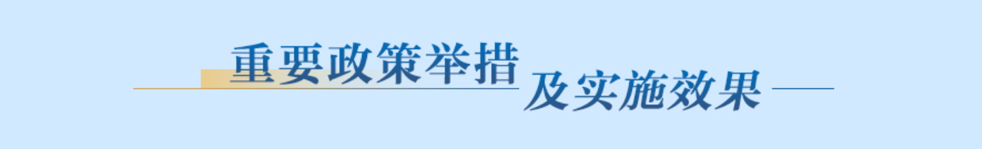重要政策舉措及實(shí)施效果